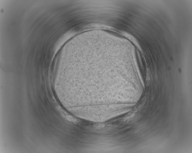 X0000073731098200608311839