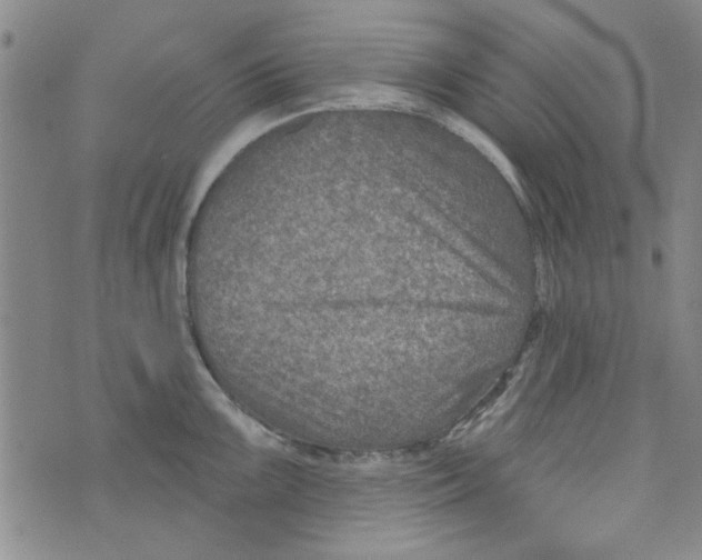 X0000073731099200608311839