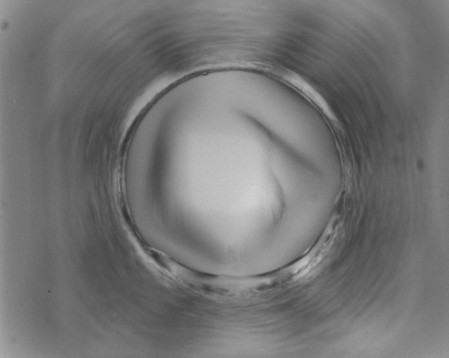 X0000073731101200608311839