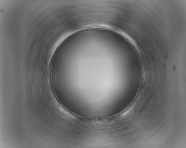 X0000073731102200608311839