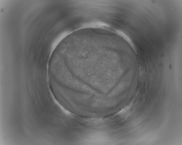 X0000073731103200608311839