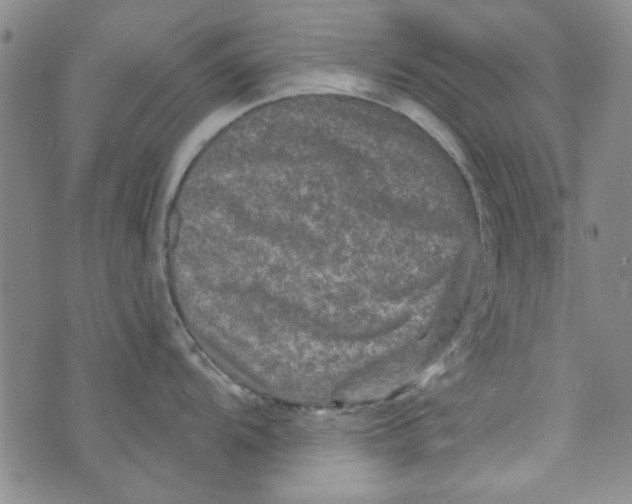 X0000073731104200608311839