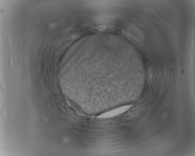 X0000073731105200608311838