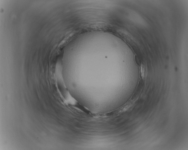 X0000073731107200608311838