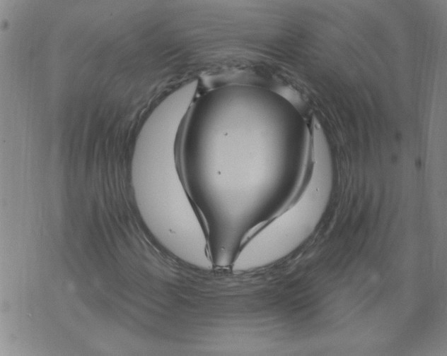 X0000073731108200608311838