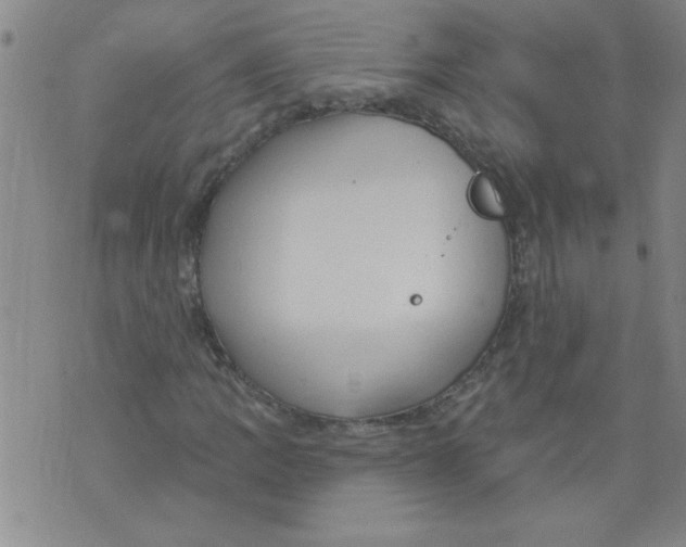 X0000073731109200608311838