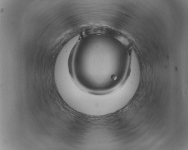 X0000073731110200608311838