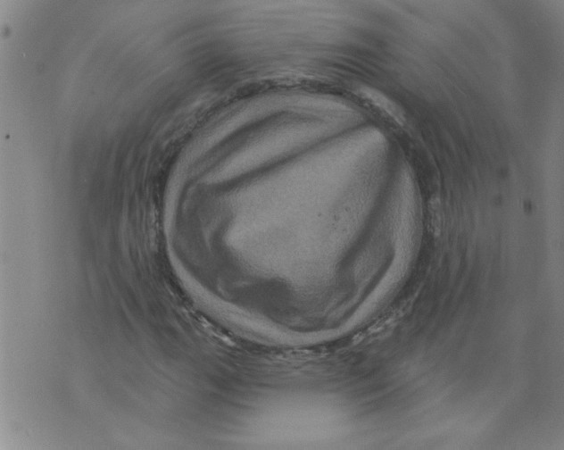 X0000073731111200608311838