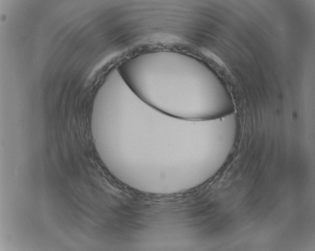 X0000073731112200608311838