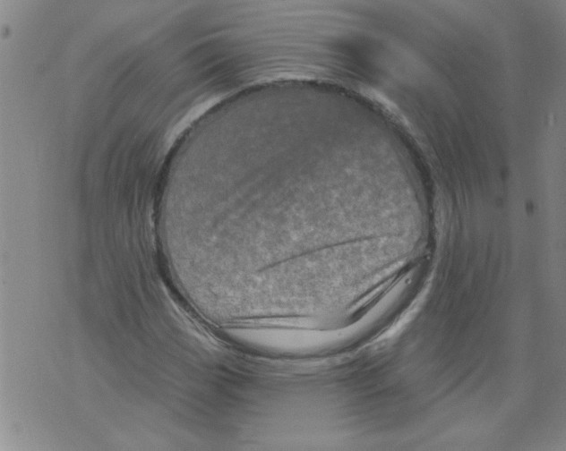 X0000073731113200608311838