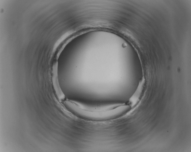 X0000073731114200608311838