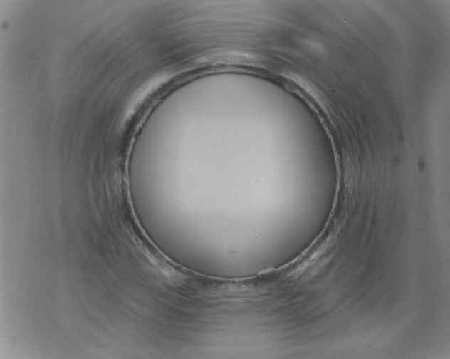 X0000073731115200608311838