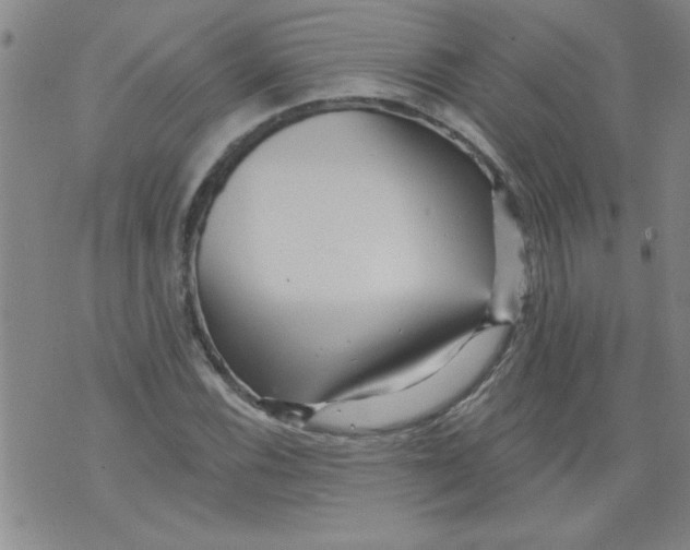 X0000073731116200608311838