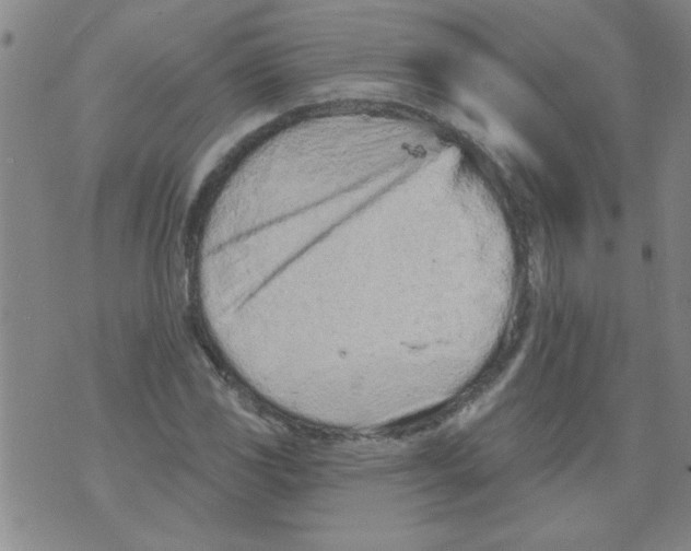 X0000073731117200608311838