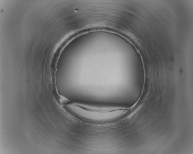 X0000073731118200608311838