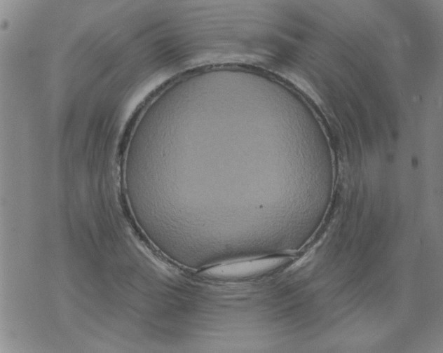 X0000073731119200608311838