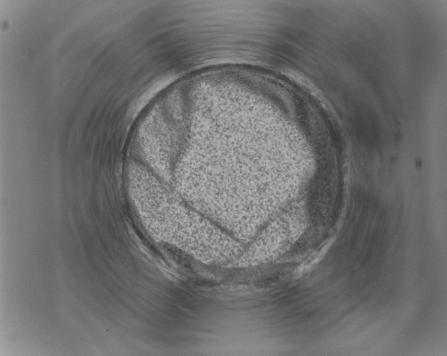 X0000073731121200608311838