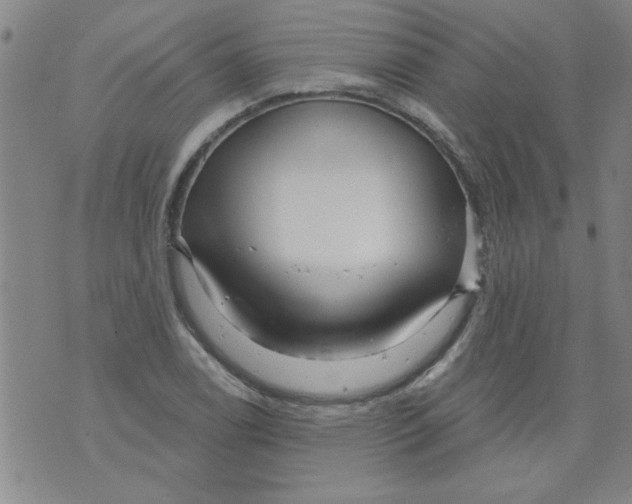 X0000073731122200608311838