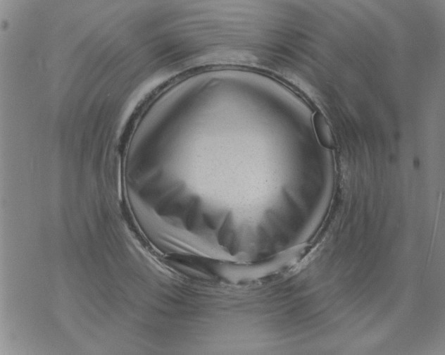 X0000073731123200608311838