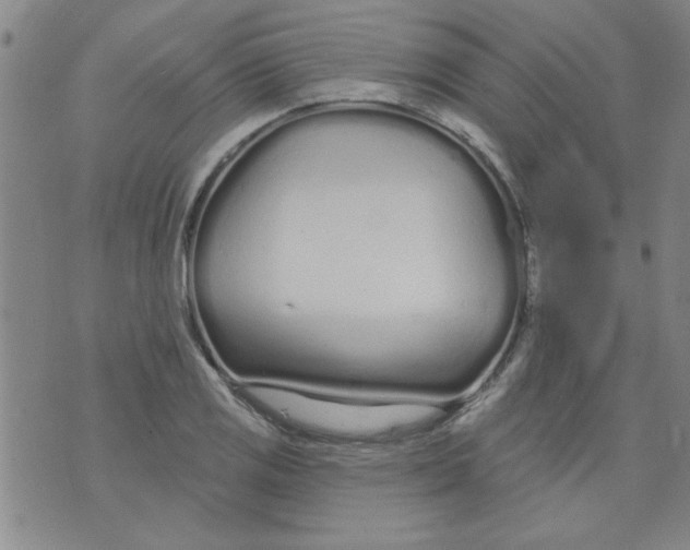 X0000073731125200608311838