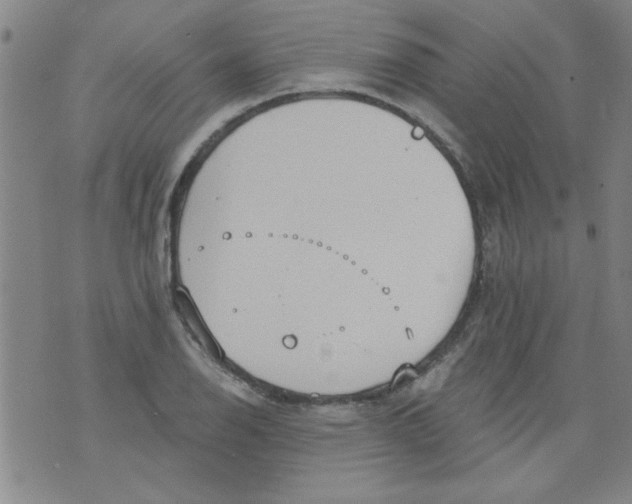 X0000073731126200608311838