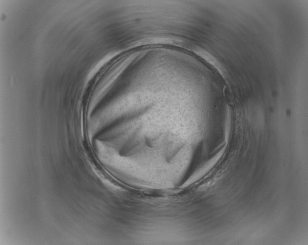 X0000073731127200608311838