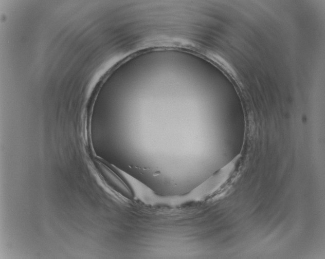 X0000073731128200608311838