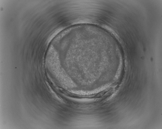 X0000073731129200608311838