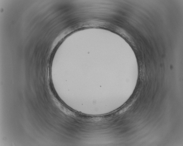 X0000073731130200608311838