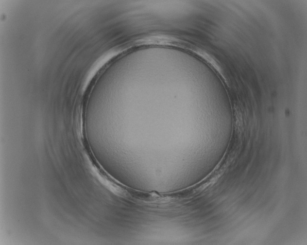 X0000073731131200608311838