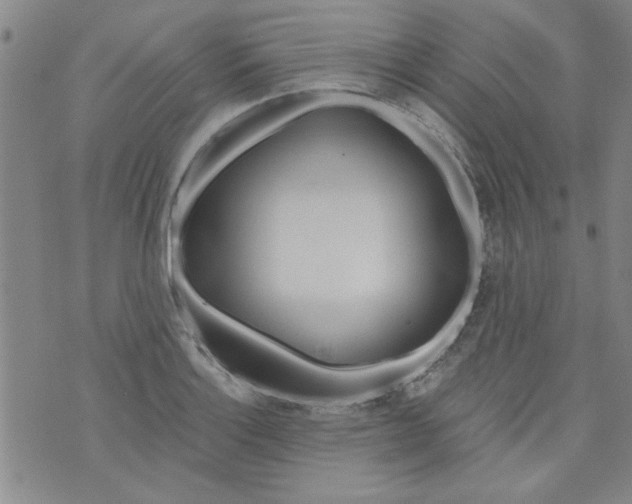 X0000073731132200608311838