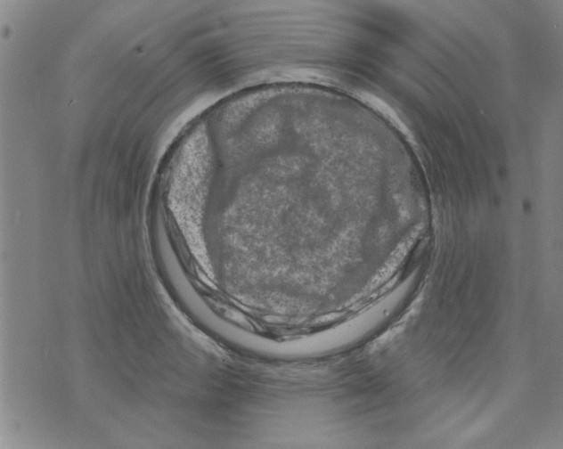 X0000073731133200608311838