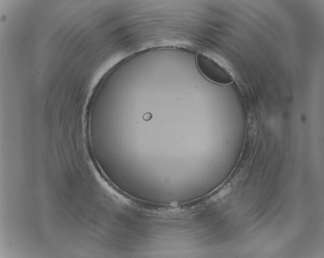 X0000073731135200608311838