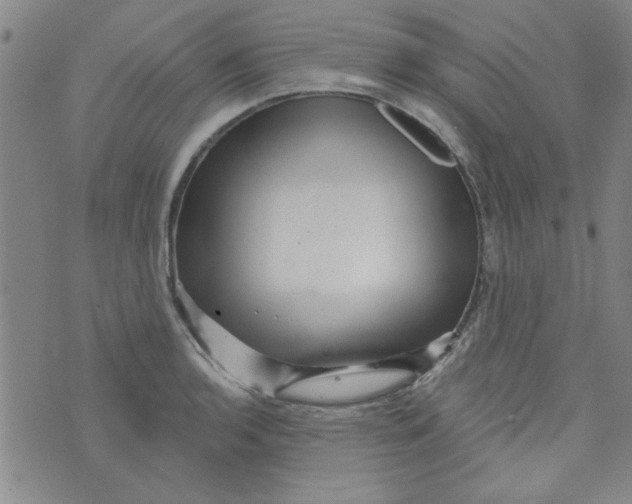 X0000073731136200608311838