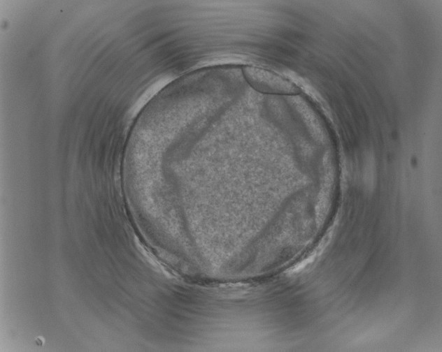 X0000073731137200608311838