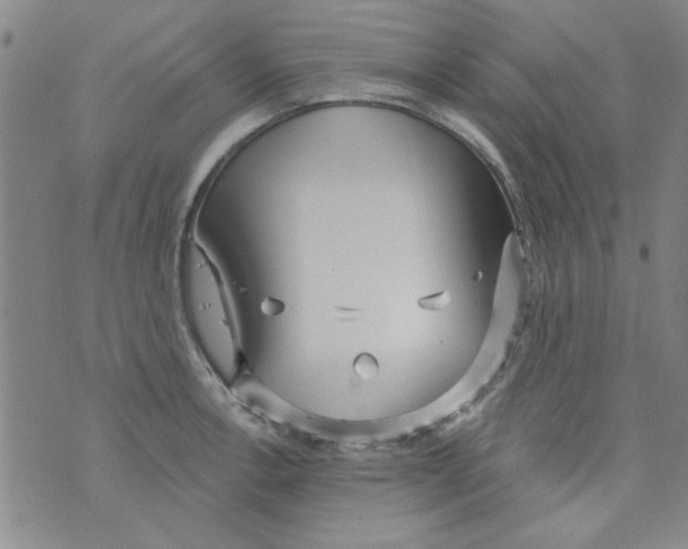 X0000073731138200608311838