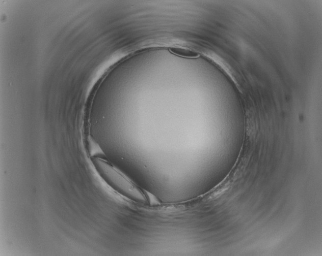 X0000073731139200608311838