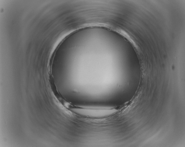 X0000073731140200608311838