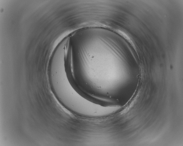 X0000073731141200608311838