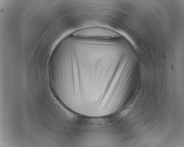 X0000073731142200608311838