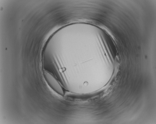 X0000073731143200608311838