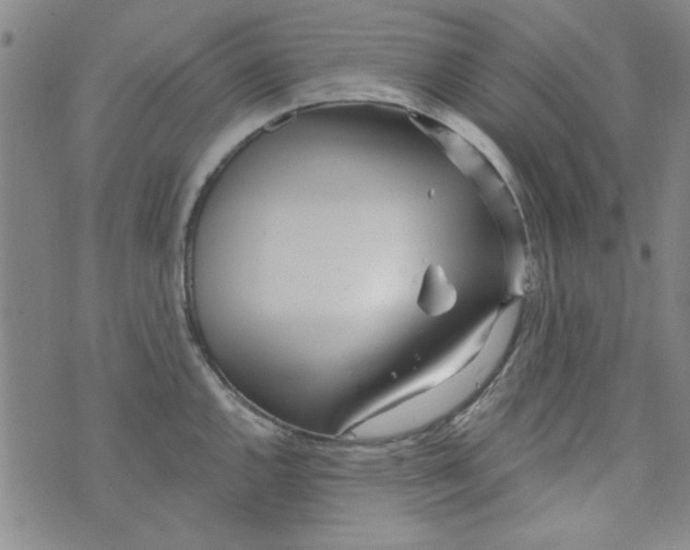 X0000073731144200608311839