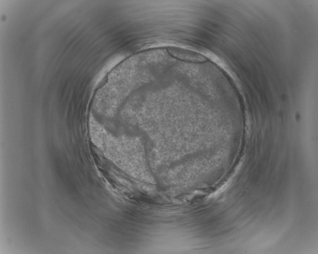 X0000073731145200608311839