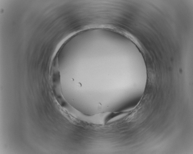 X0000073731148200608311839