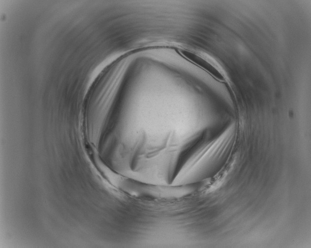 X0000073731149200608311839