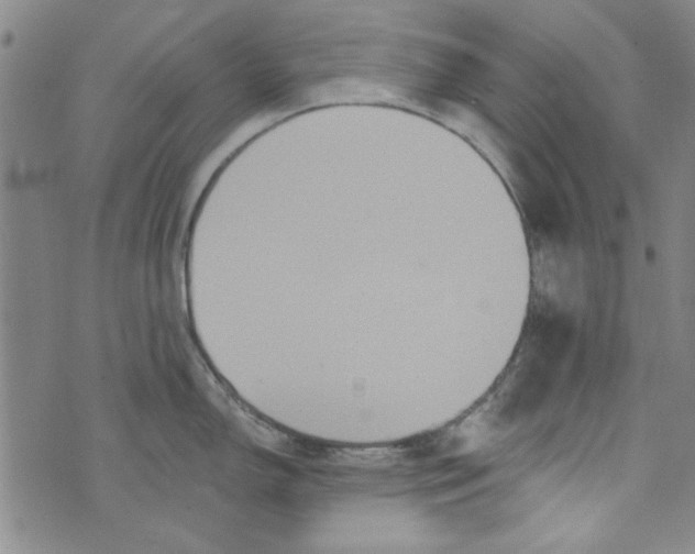 X0000073731150200608311839