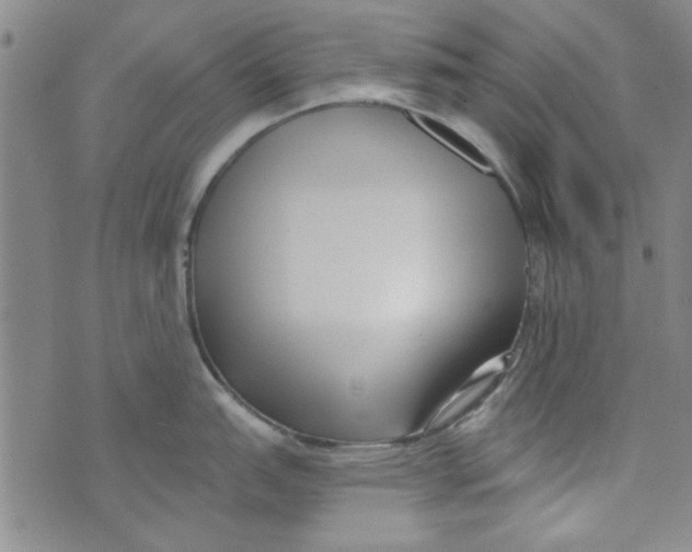 X0000073731151200608311839