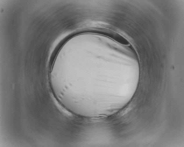 X0000073731152200608311839