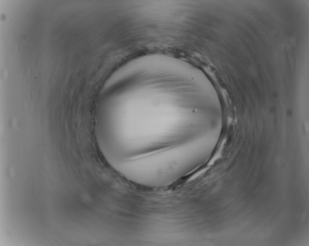 X0000073731153200608311838