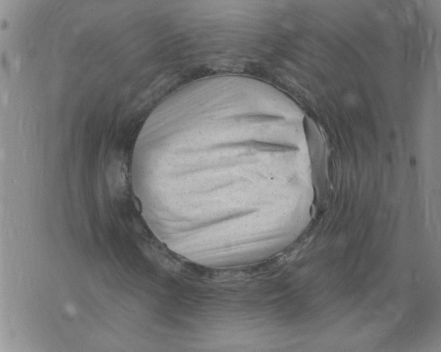 X0000073731154200608311838